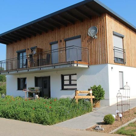 Ferienwohnungen "Blumenwiese" Dillingen an der Donau Exterior foto